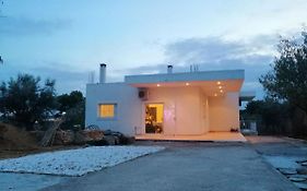 Costasfarmhouse, Pallini, Near Athens Airport